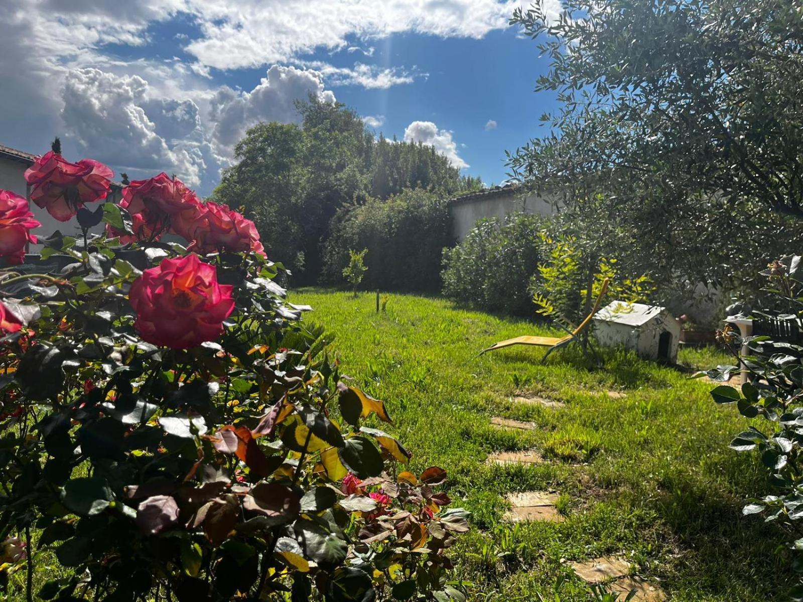 Gite De L'Olivier Nyons Exterior foto